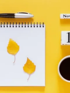 Seasonal Sales Calendar: Maximize Savings on Budget Fashion Finds - Cover Image