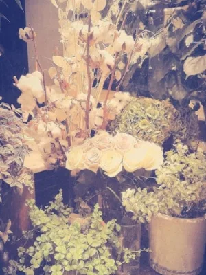 Cottagecore Evolves: 2025 Floral Pattern Trends Unleashed - Cover Image