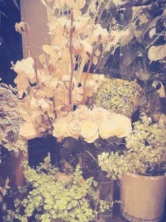 Cottagecore Evolves: 2025 Floral Pattern Trends Unleashed - Cover Image