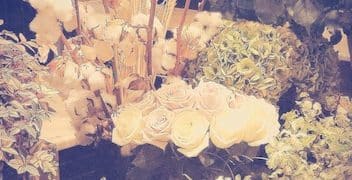 Cottagecore Evolves: 2025 Floral Pattern Trends Unleashed - Cover Image