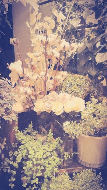 Cottagecore Evolves: 2025 Floral Pattern Trends Unleashed