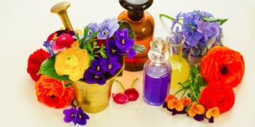Seasonal Scent Switch-Up: Best Perfume Pairings for All Seasons in the US - Cover Image