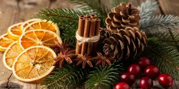 Festive holiday scent elements arranged for winter 2026 celebrations